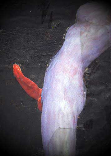 Artwork 141 by Scott Batty for the art of skinlessness