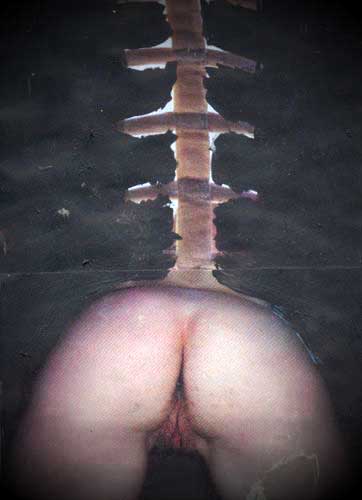 Artwork 142 by Scott Batty for the art of skinlessness
