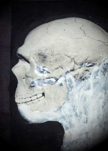 Artwork 306 by Scott Batty for the art of skinlessness
