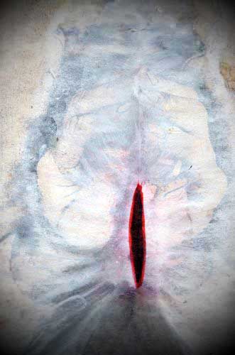 Artwork 7 by Scott Batty for the art of skinlessness