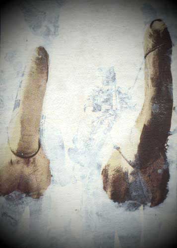 Artwork 78 by Scott Batty for the art of skinlessness